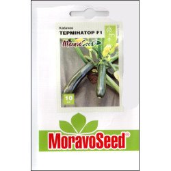 Кабачок Термінатор F1 /10 насінин/ *Moravoseed*