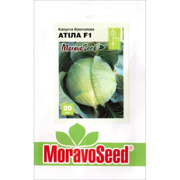 Насіння капусти білоголової Атіла F1 /20 насінин/ *Moravoseed*