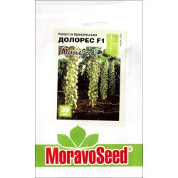 Капуста брюссельська Долорес F1 /20 насінин/ *Moravoseed*