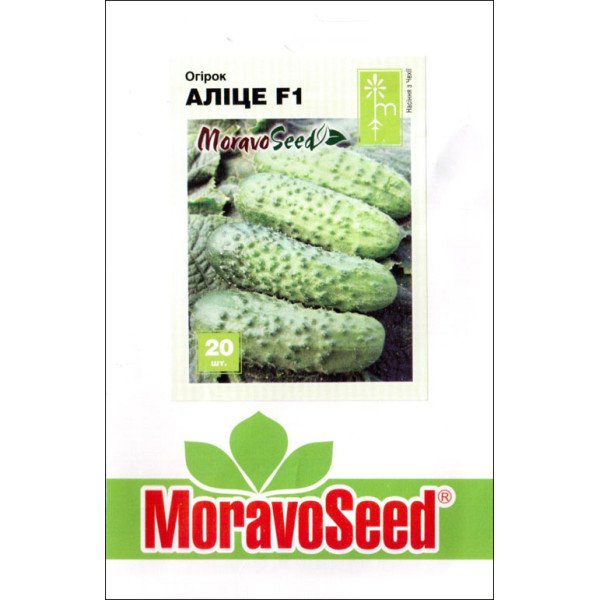 Насіння огірка Аліце F1 /20 насінин/ *Moravoseed*