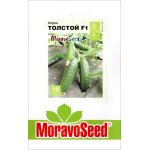 Огірок Толстой F1 /10 насінин/ *Moravoseed*