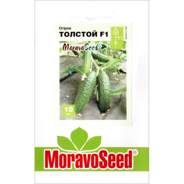 Семена огурца Толстой F1 /10 семян/ *Moravoseed*