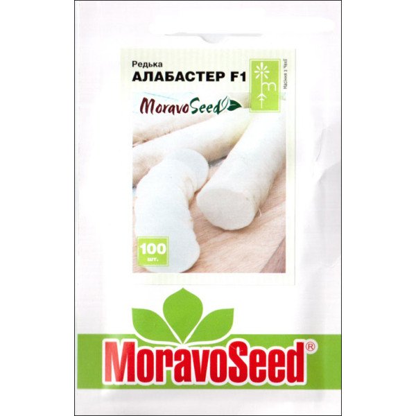 Насіння редьки Алабастер F1 /100 насінин/ *Moravoseed*