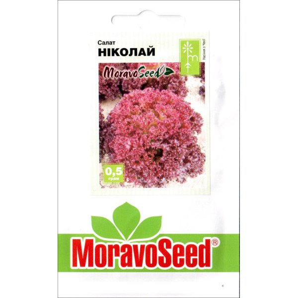 Насіння салату Ніколай /0,5 г/ *Moravoseed*