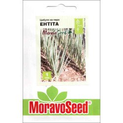 Цибуля на перо Ентіта /1 г/ *Moravoseed*