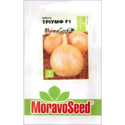 Лук Триумф F1 /1 г/ *Moravoseed*