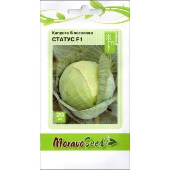 Капуста белокочанная Статус F1 /20 семян/ *Moravoseed*