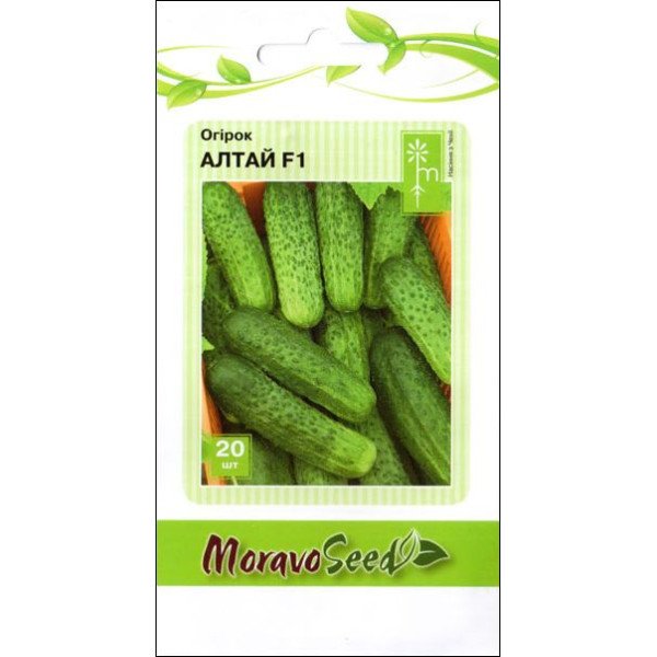 Насіння огірка Алтай F1 /20 насінин/ *Moravoseed*