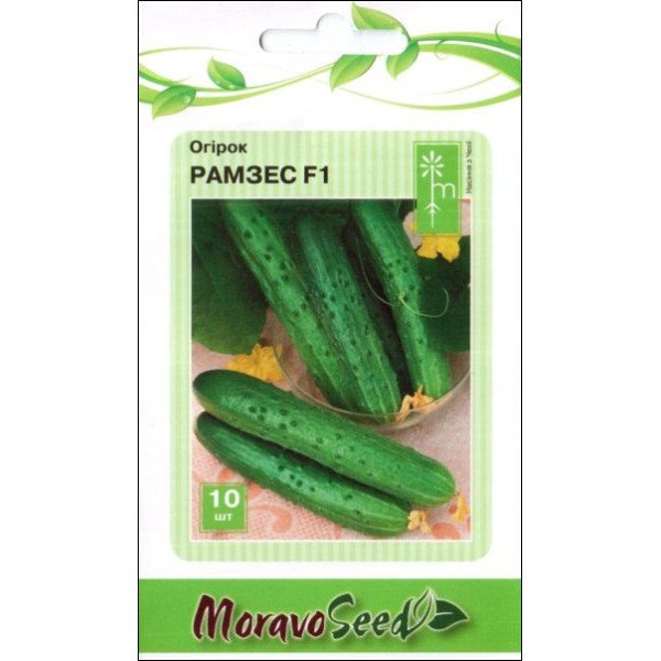 Огірок Рамзес F1 /10 насінин/ *Moravoseed*