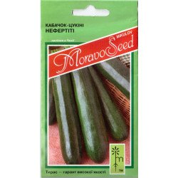 Кабачок Нефертіті /2,5 г/ *Moravoseed*