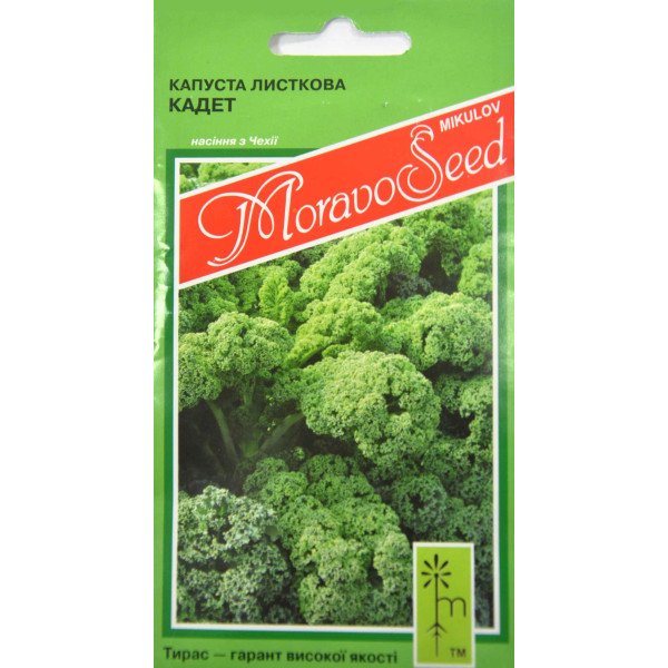 Насіння капусти листової Кадет /0,2 г/ *Moravoseed*
