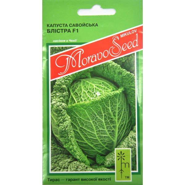 Семена капусты савойской Блистра F1 /0,2 г/ *Moravoseed*