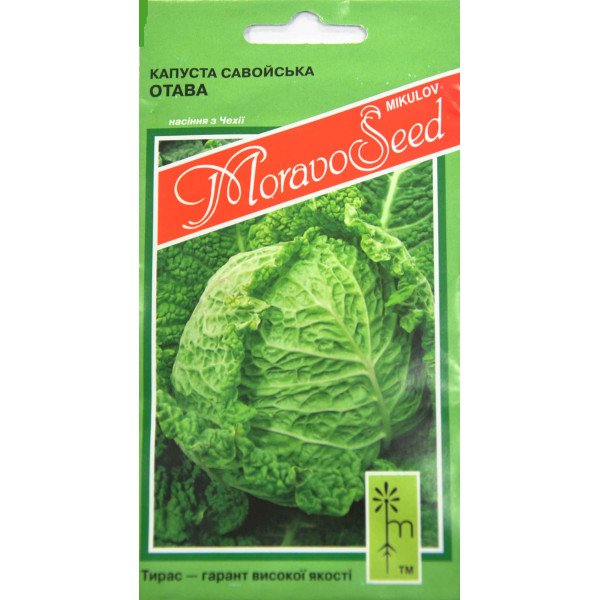 Семена капусты савойской Рана Жлута (Отава) /0,2 г/ *Moravoseed*