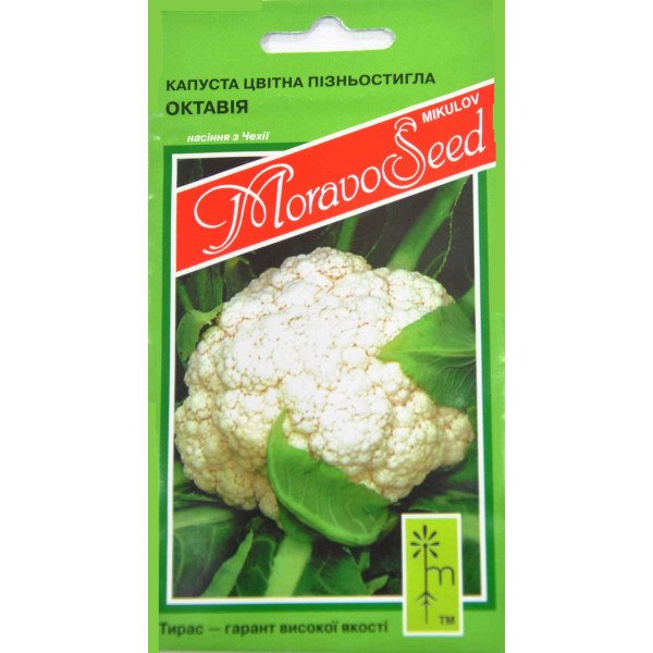 Семена капусты цветной Октавиан (Октавия) /0,2 г/ *Moravoseed*
