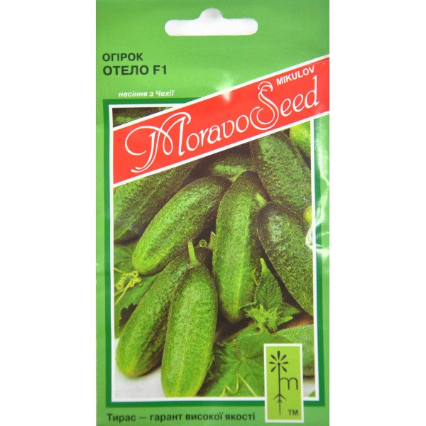 Насіння огірка Отело F1 /1,2 г/ *Moravoseed*