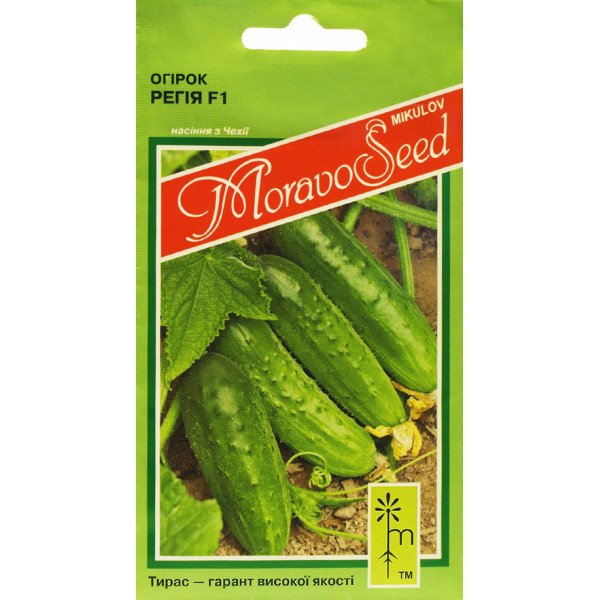 Насіння огірка Регіна (Регія) /1,2 г/ *Moravoseed*