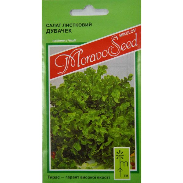 Насіння салату Дубачек /0,8 г/ *Moravoseed*