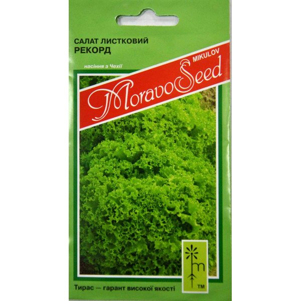 Насіння салату Рекорд /0,8 г/ *Moravoseed*