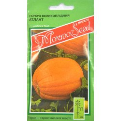Гарбуз Голіаш (Атлант) /5 г/ *Moravoseed*