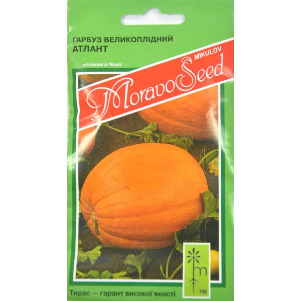 Семена тыквы Голиаш (Атлант) /5 г/ *Moravoseed*