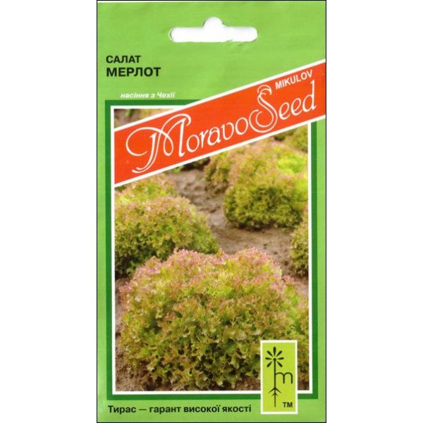 Насіння салату Мерлот /0,8 г/ *Moravoseed*