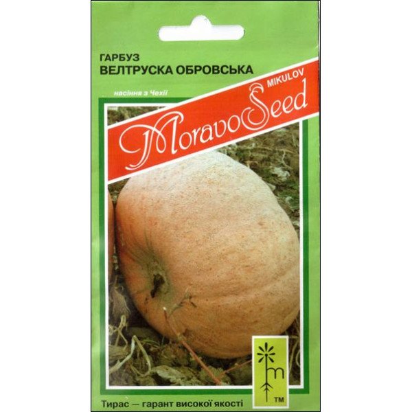 Семена тыквы Велтруска Обровска /5 г/ *Moravoseed*