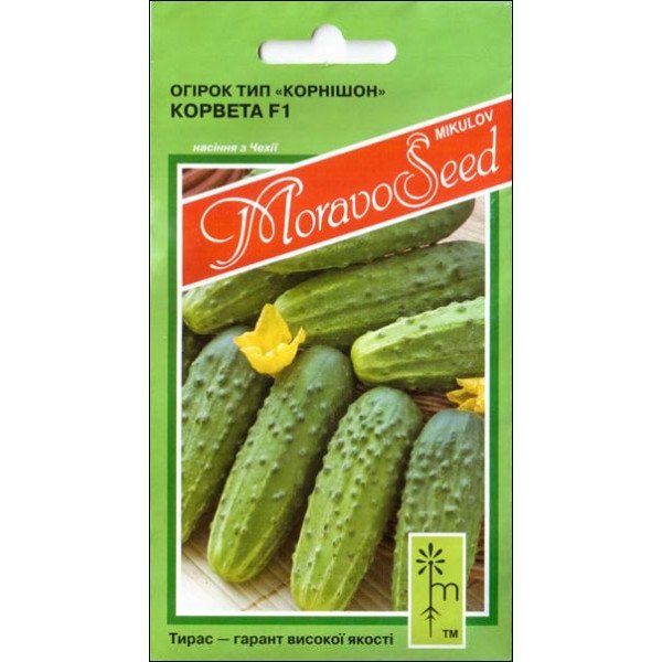 Насіння огірка Корвета F1 /1,2 г/ *Moravoseed*