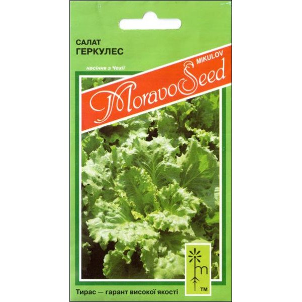 Семена салата Геркулес /0,8 г/ *Moravoseed*