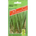 Лук на перо Страда /1 г/ *Moravoseed*