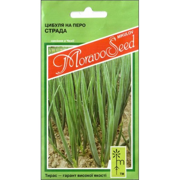 Семена лука на перо Страда /1 г/ *Moravoseed*