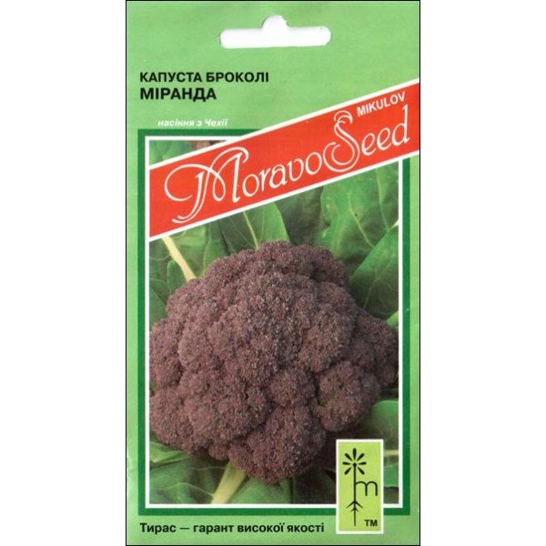 Семена капусты брокколи Миранда /0,2 г/ *Moravoseed*