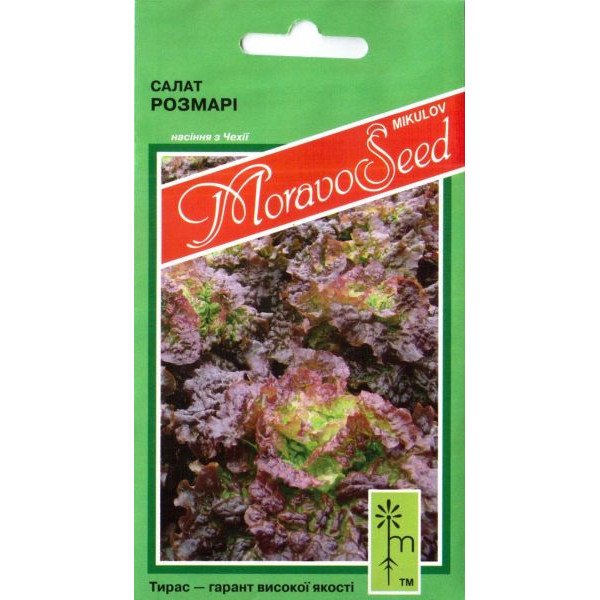 Насіння Салата Розмарі /0,8 г/ *Moravoseed*