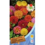 Георгина махровая смесь /0,8 г/ *Moravoseed*