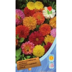 Георгина махровая смесь /0,8 г/ *Moravoseed*
