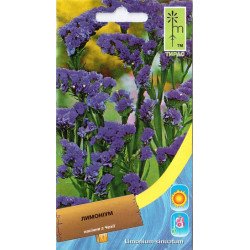 Кермек синій /0,2 г/ *Moravoseed*