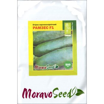 Огурец Рамзес F1 /500 семян/ *Moravoseed*