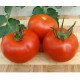 Насіння томату Дафне F1 /500 насінин/ *Moravoseed*