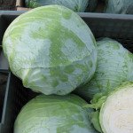 Капуста білоголова Статус F1 /2.500 насінин/ *Moravoseed*