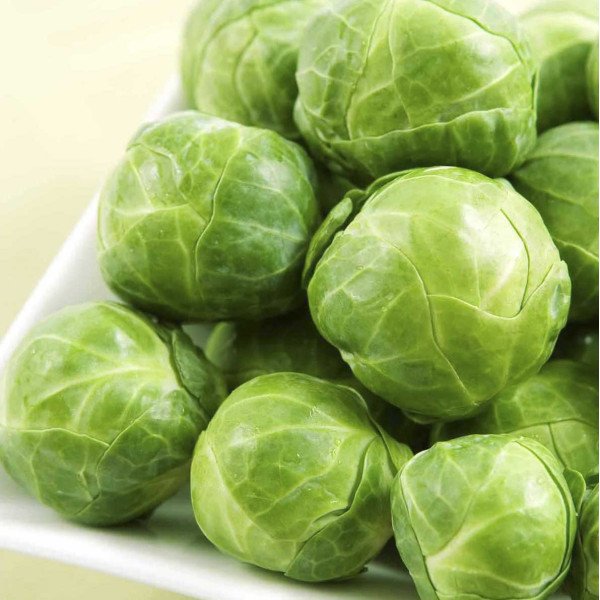 Семена капусты брюссельской Долорес F1 /2.500 семян/ *Moravoseed*