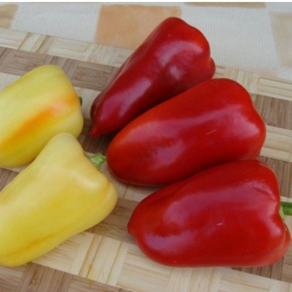 Насіння перцю солодкого Беатрікс F1 /500 насінин/ *Moravoseed*