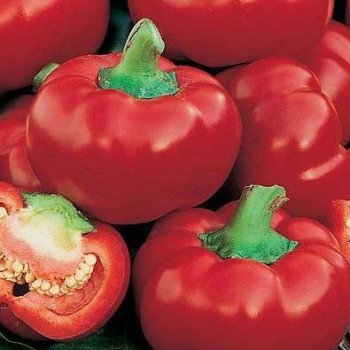 Перець солодкий Думас /50 г/ *Moravoseed*