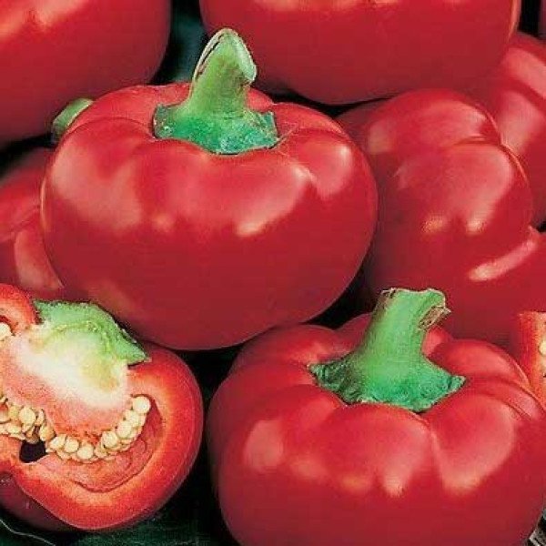 Насіння перцю солодкого Думас /50 г/ *Moravoseed*