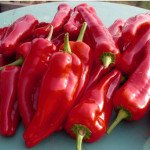 Перець солодкий Рубінова /50 г/ *Moravoseed*