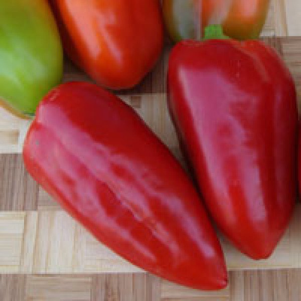 Насіння перцю солодкого Сандра /50 г/ *Moravoseed*