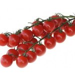 Томат Мандат F1 /500 семян/ *Moravoseed*