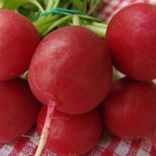 Семена редиса Лада /250 г/ *Moravoseed*