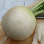 Редька Акорд /100 г/ *Moravoseed*