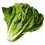 Салат Галандер /10.000 насінин/ *Moravoseed*