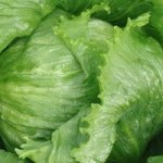 Салат Мауглі (Етті) /10.000 насінин/ *Moravoseed*