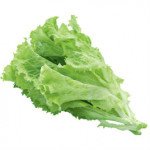 Салат Камелот /10.000 насінин/ *Moravoseed*